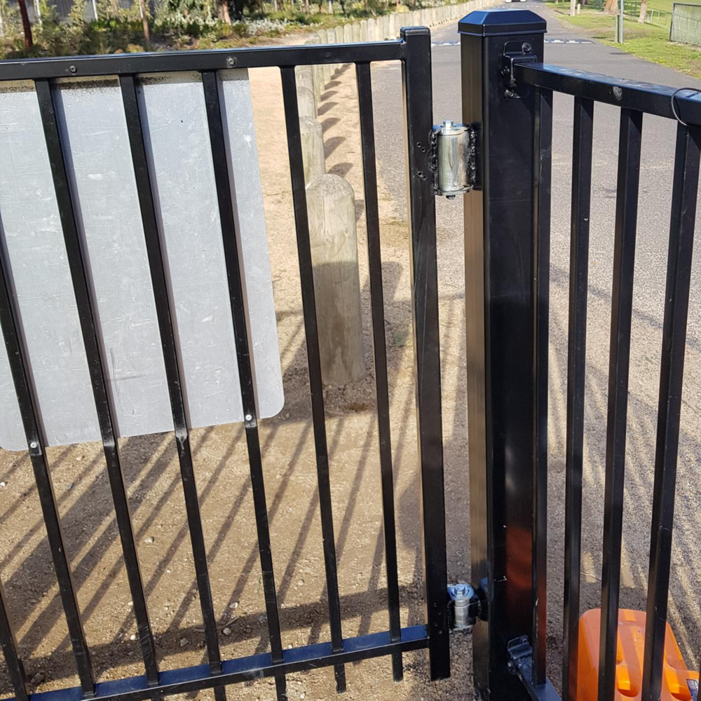 Image: No description