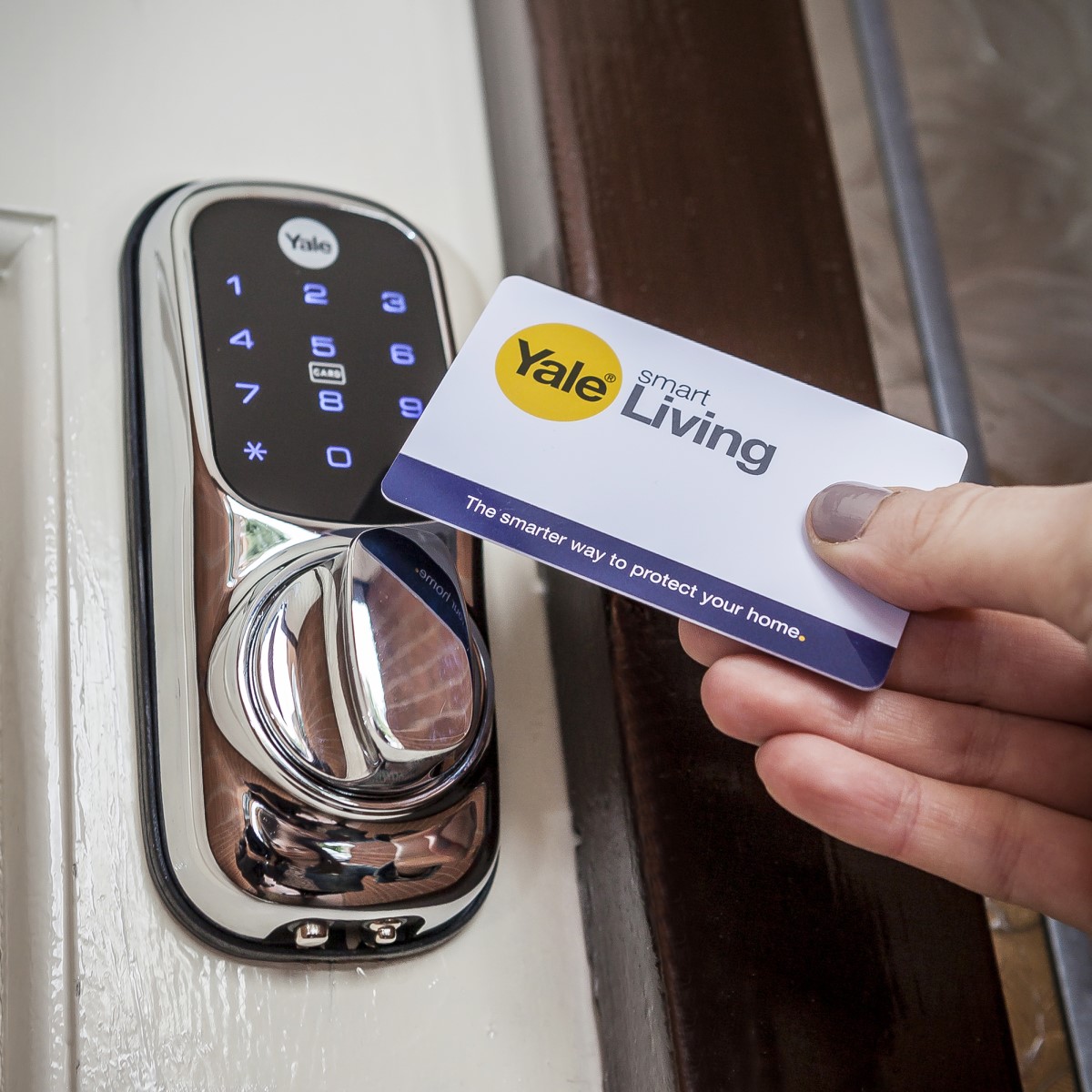 Image: No description