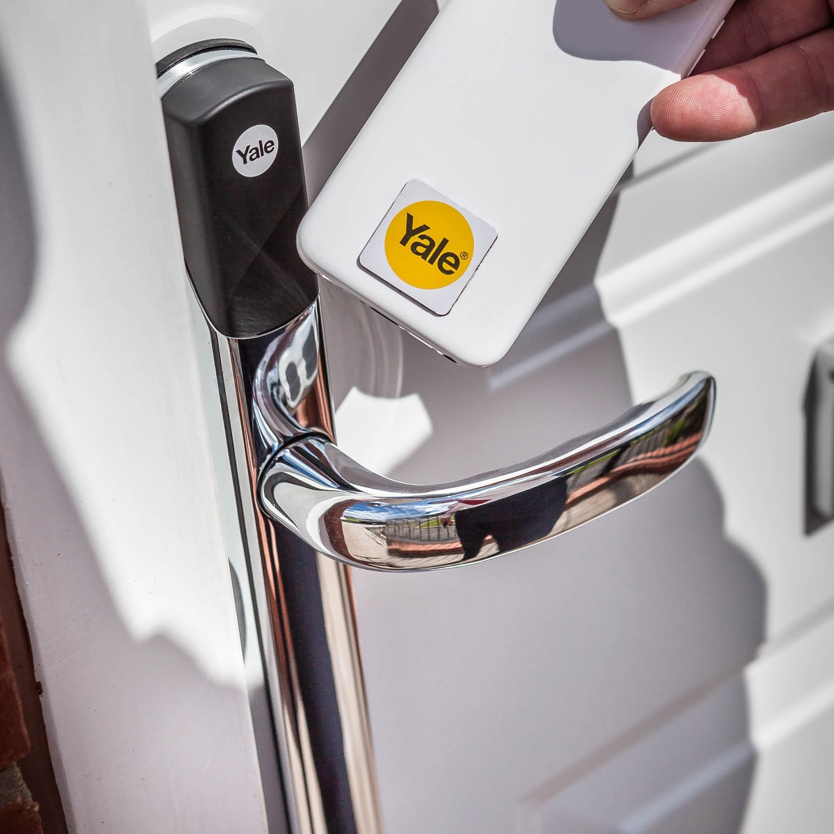 Image: No description