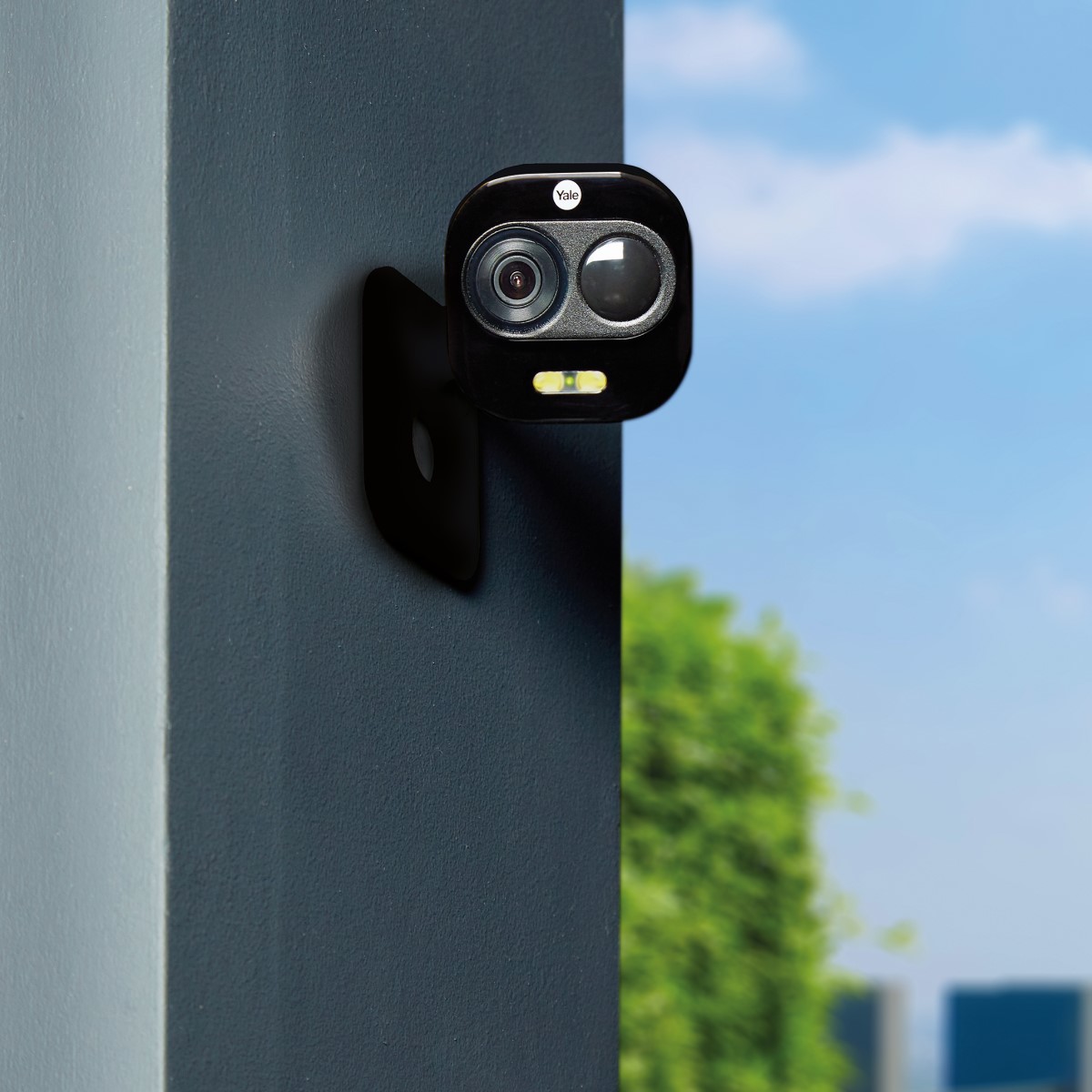 Image: No description